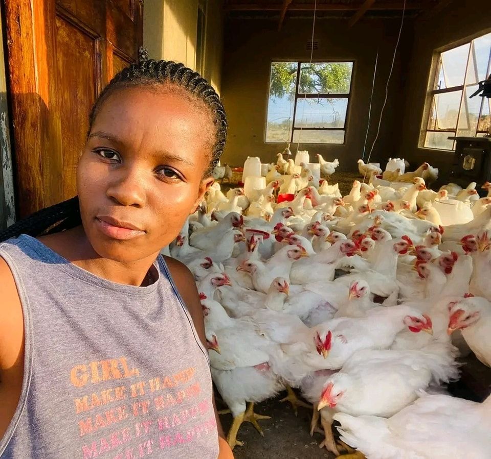 16cbca40229df5b49c78aaa22d767be4